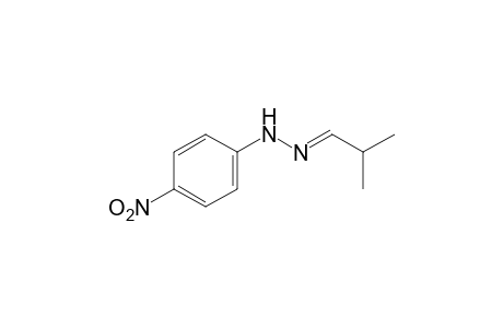 isobutyraldehyde, (p-nitrophenyl)hydrazone