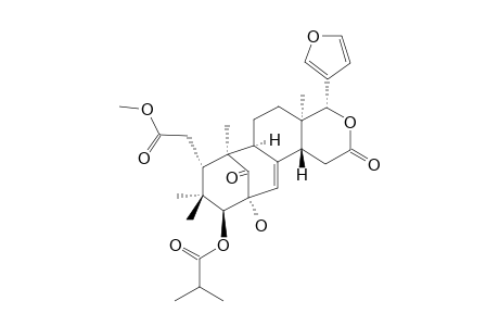 METHYL-2-HYDROXY-3-BETA-ISOBUTYROXY-1-OXOMELIAC-8(30)-ENATE