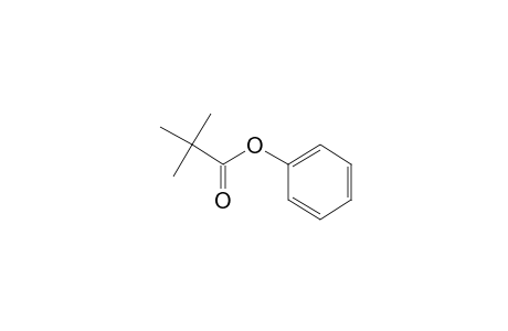 Pivalic acid, phenyl ester