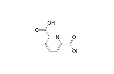 2,6-Pyridine dicarboxylic acid