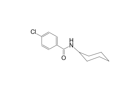 N-CYCLOHEXYL-4-CHLOROBENZAMIDE