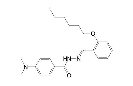 benzoic acid, 4-(dimethylamino)-, 2-[(E)-[2-(hexyloxy)phenyl]methylidene]hydrazide