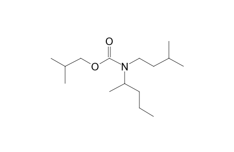 Carbonic acid, monoamide, N-(2-pentyl)-N-(3-methylbutyl)-, isobutyl ester