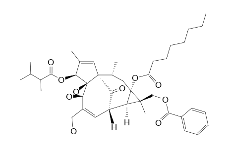 17-BENZOYLOXY-3-O-(2,3-DIMETHYLBUTANOYL)-13-OCTANOYLOXY-INGENOL