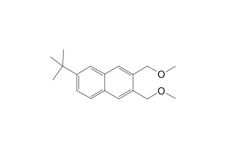 6-(tert-Butyl)-2,3-bis(methoxymethyl)naphthalene