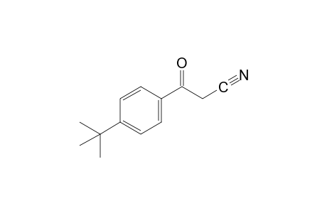 (p-tert-BUTYLBENZOYL)ACETONITRILE