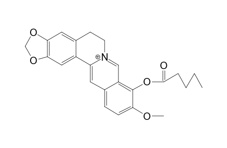 9-VALERYLBERBERRUBINE