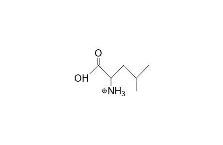 L-Leucine cation