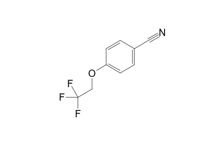 4-(2,2,2-trifluoroethoxy)benzonitrile