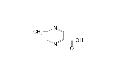 5-Methylpyrazine-2-carboxylic acid