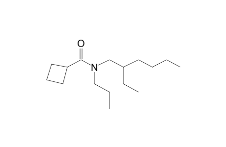 Cyclobutanecarboxamide, N-propyl-N-(2-ethylhexyl)-