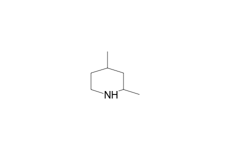 cis-2,4-Dimethyl-piperidine