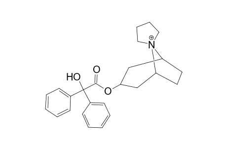 Trospium MS2