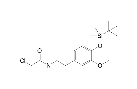 N-[2-[4-[tert-butyl(dimethyl)silyl]oxy-3-methoxy-phenyl]ethyl]-2-chloranyl-ethanamide