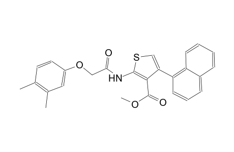 methyl 2-{[(3,4-dimethylphenoxy)acetyl]amino}-4-(1-naphthyl)-3-thiophenecarboxylate