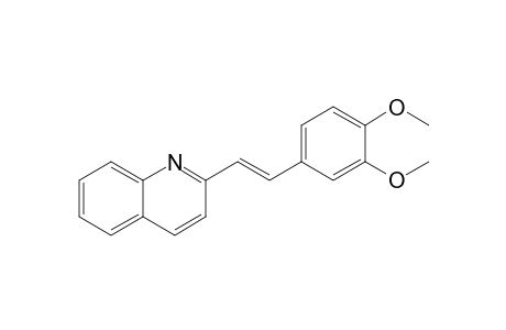 2-(3',4'-DIMETHOXYSTYRYL)-QUINOLINE