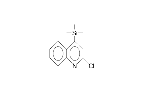 2-chloro-4-(trimethylsilyl)quinoline