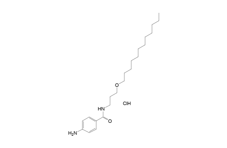 p-amino-N-[3-(dodecyloxy)propyl]benzamide, monohydrochloride