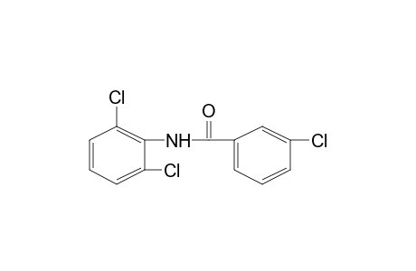 2',3,6'-trichlorobenzanilide