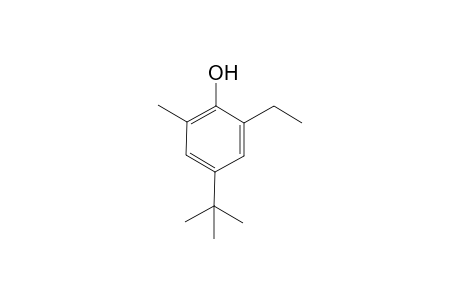 All-ortho 4-tert-butylphenol novolac
