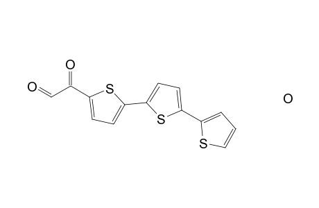 [2,2';5',2"]terthiophene-5-ylglyoxal hydrate