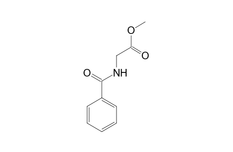 Hippuric acid methyl ester