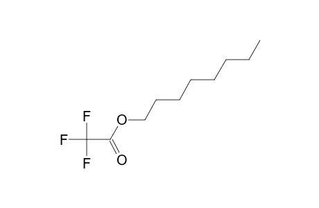 trifluoroacetic acid, octyl ester