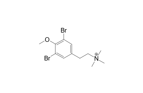 3,5-DIBROMO-N,N,N,O-TETRAMETHYL-TYRAMINIUM