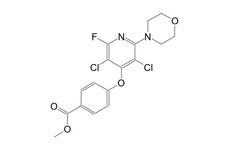 benzoic acid, 4-[[3,5-dichloro-2-fluoro-6-(4-morpholinyl)-4-pyridinyl]oxy]-, methyl ester