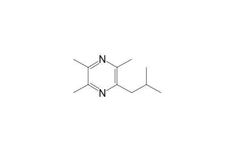 2-Isobutyl-3,5,6-trimethylpyrazine