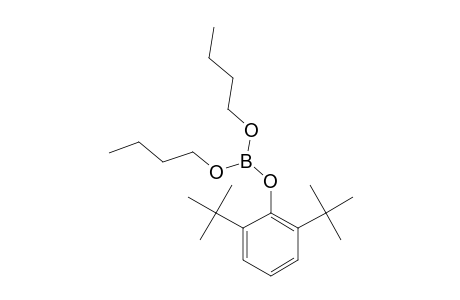 boric acid, dibutyl(2,6-di-tert-butyl)phenyl ester