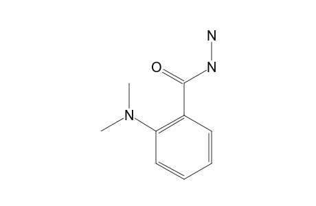 N,N-dimethylanthranilic acid, hydrazide