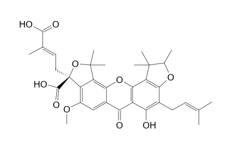 SCORTECHINONE_V;1-HYDROXY-7-METHOXY-2',2'-DIMETHYL-5'-CARBOXY-5'-(3-CARBOXYBUT-2-ENYL)-FURANO-(3',4':5,6)-2-(3-METHYLBUTYL-2-ENYL)-4'',4'',5''-TRIMETH