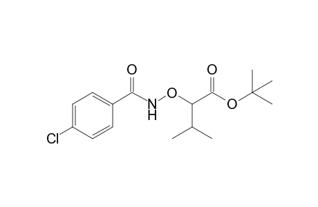 D-tert-Butyl 2-p-chlorophenylcarbonylaminoxy-3-methylbutanoate