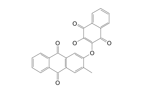 NEWBOULDIAQUINONE-A;3-(2-HYDROXY-NAPHTHAQUINON-3-O-YL)-2-METHYL-ANTHRACEN-9,10-DIONE