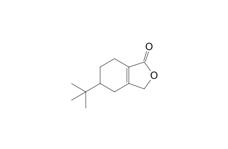 5-tert-butyl-4,5,6,7-tetrahydro-3H-2-benzofuran-1-one