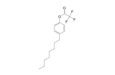 4-N-Octylphenol, trifluoroacetate ester