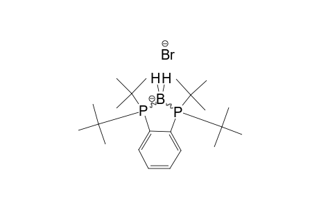 [1,2-BIS-(DI-TERT.-BUTYLPHOSPHINO)-BENZENE-2-KAPA-P,P']-BORONIUM-BROMIDE