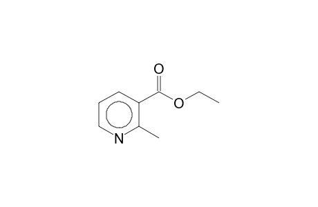 Ethyl 2-methylnicotinate