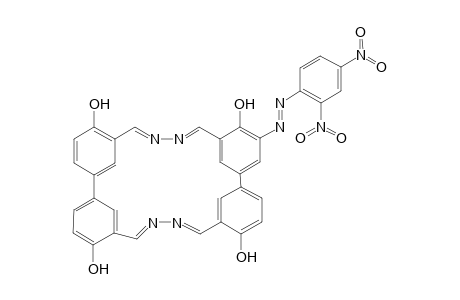 [(2',4'-Dinitrophenyl)diazo]-monosubstituted Macocycloc Tetraazomethyne Dyestuff