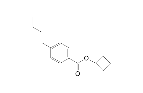 4-Butylbenzoic acid, cyclobutyl ester