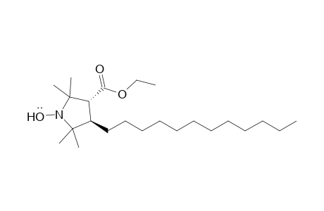 1-Pyrrolidinyloxy, 3-dodecyl-4-(ethoxycarbonyl)-2,2,5,5-tetramethyl-, trans-