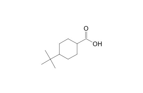 4-tert-Butylcyclohexanecarboxylic acid