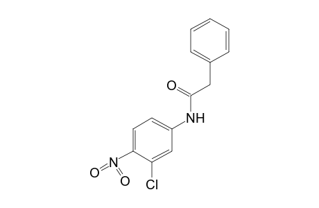 3'-chloro-4'-nitro-2-phenylacetanilide