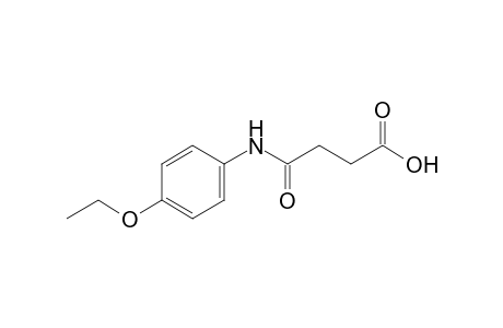 4'-Ethoxysuccinanilic acid