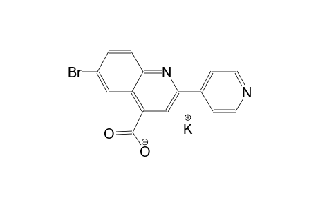 potassium 6-bromo-2-(4-pyridinyl)-4-quinolinecarboxylate