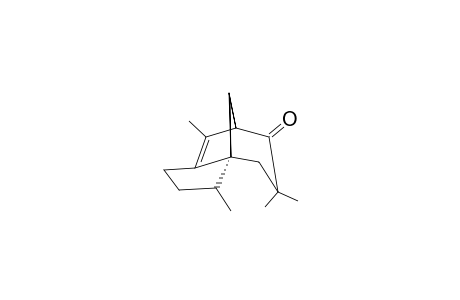 2,6,9,9-TETRAMETHYLTRICYCLO-[5.3.1.0(1,5)]-UNDEC-5-EN-8-ONE;MINOR-EPIMER