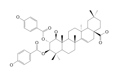 1-BETA,2-ALPHA-DIHYDROXYALEURITOLIC-ACID-2,3-BIS-PARA-HYDROXYBENZOATE