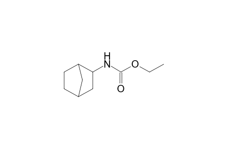 2-norbornanecarbamic acid, ethyl ester
