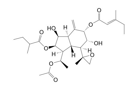 SONGARICALARIN_A;(1-S,2-R,3-S,3A-R,5-S,6-R,7-S,7A-S)-2-[(2-METHYLBUTANOYL)-OXY]-1-(1-ALPHA-ACETOXYETHYL)-OCTAHYDRO-3,6-BISHYDROXY-